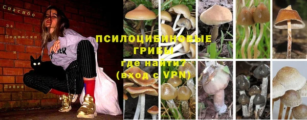 амф Алексеевка