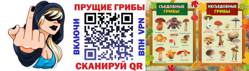 Галлюциногенные грибы Magic Shrooms  магазин    Тейково 