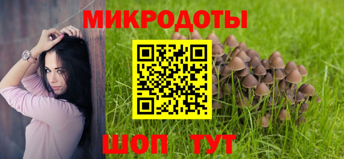 Тейково  Псилоцибиновые грибы Magic Shrooms  Вход с VPN  Псилоцибиновые грибы Psilocybe 